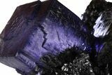 Purple Cubic Fluorite Crystal on Sphalerite - Elmwood Mine #244243-2